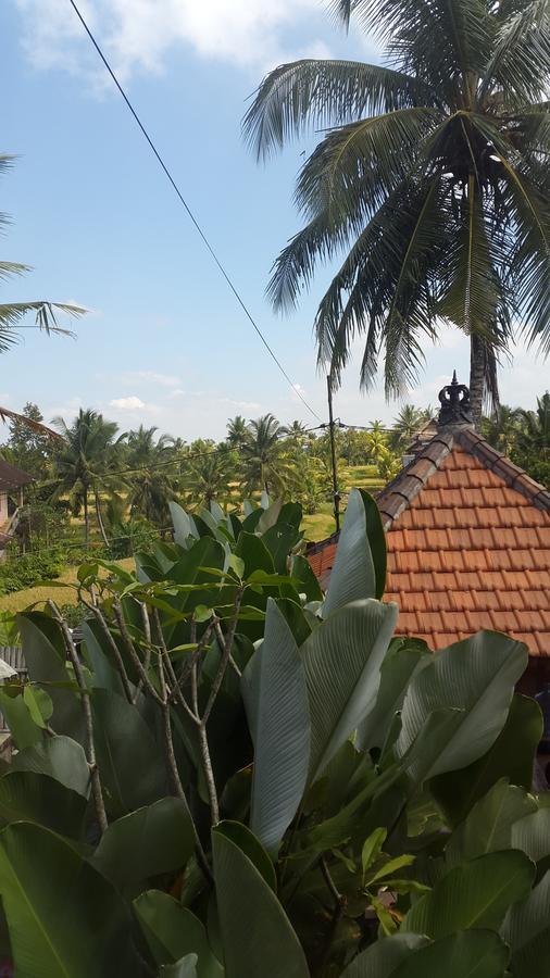 Villa Bungsil Gading Ubud Buitenkant foto