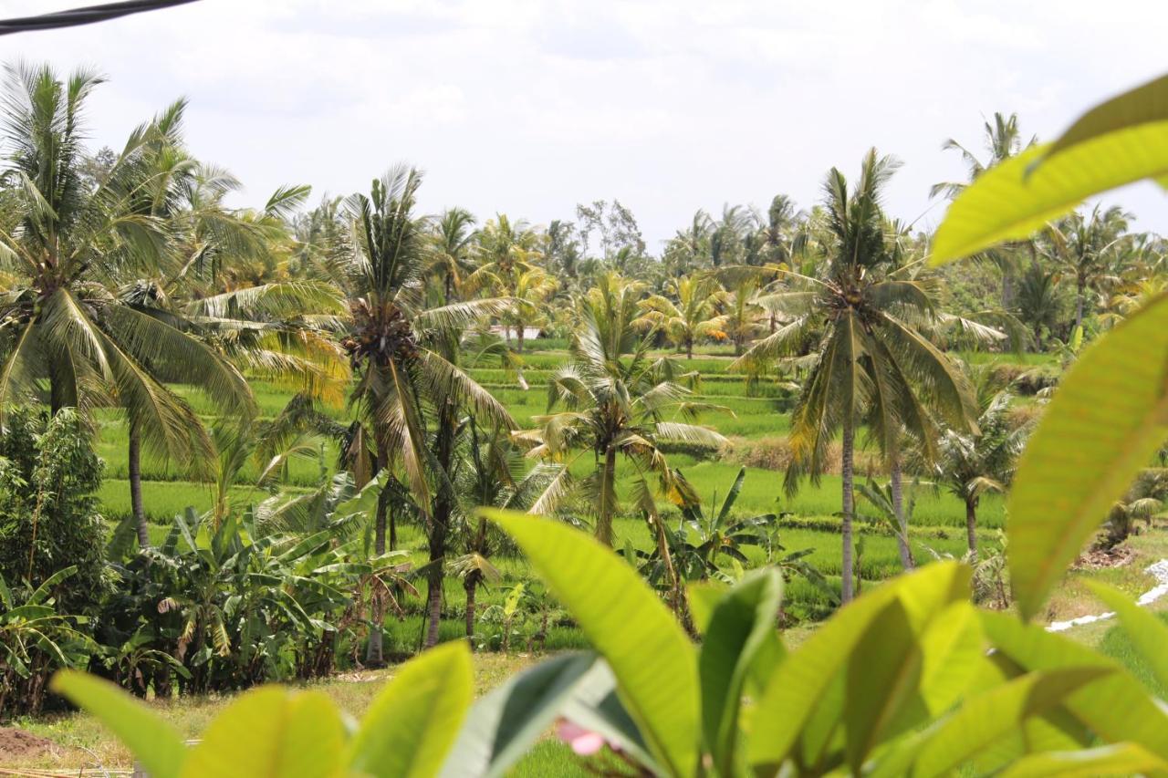 Villa Bungsil Gading Ubud Buitenkant foto